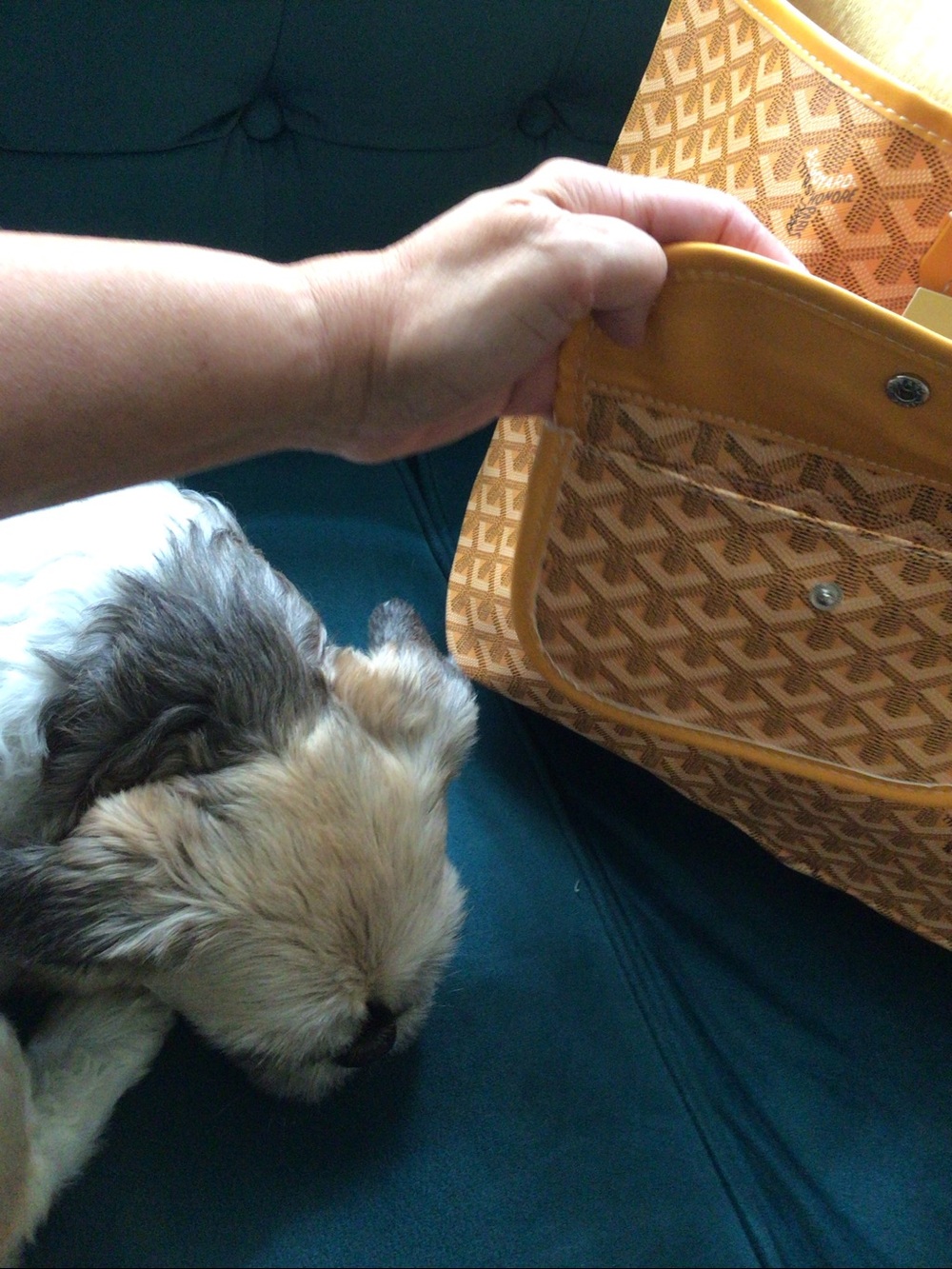 Goyard Tote Bag in Cognac with Yellow Trim authentic ๐ฏ percent ๐๐โ
โ
or best offe - Picture 2 of 7
